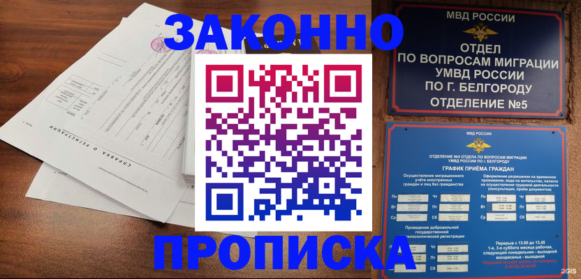 прописка в Ленинградской области